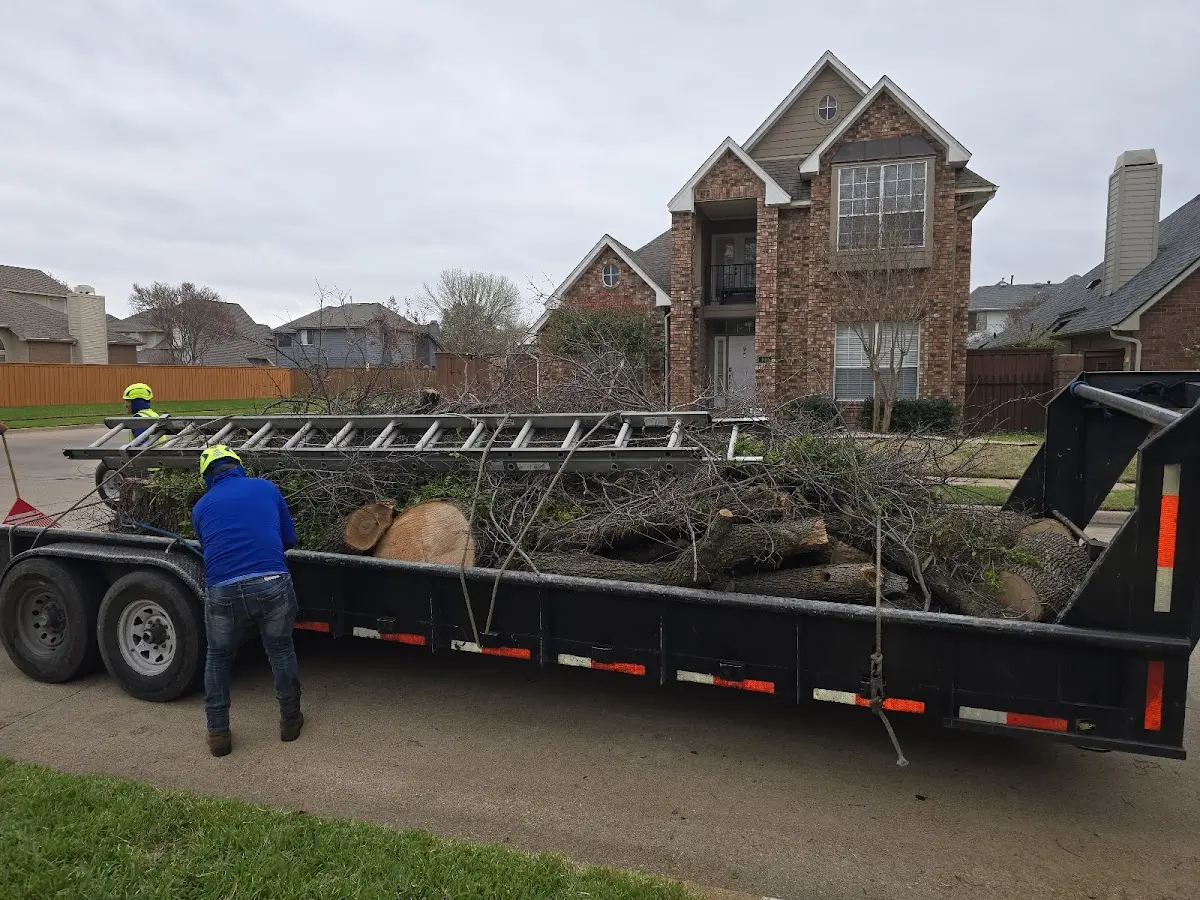 Expert Tree Fertilization with proper safety equipment in Lahaska